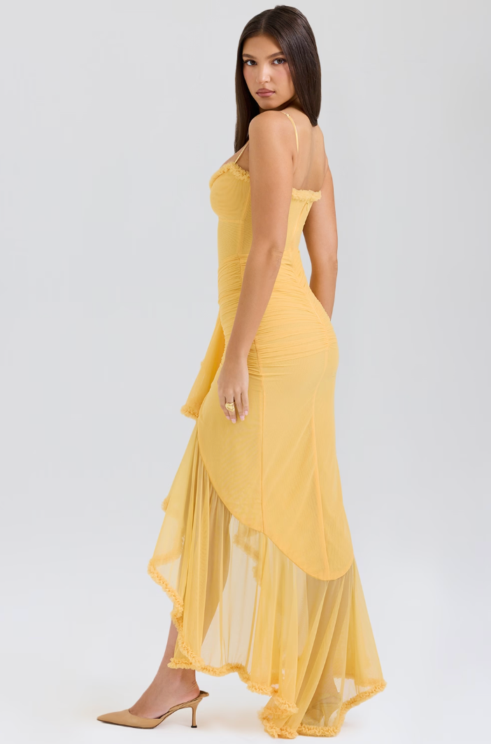 Alena - Alluring Ruffled Maxi Dress